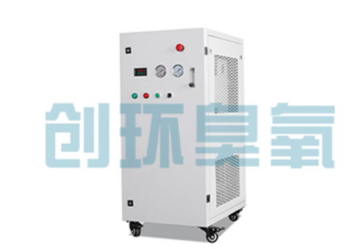 昌吉石斑鱼养殖水质调控完整指南:臭氧发生器配置与操作步骤