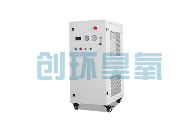 昌吉比传统换水更高效?臭氧发生器在石斑鱼养殖中的水质净化原理解析