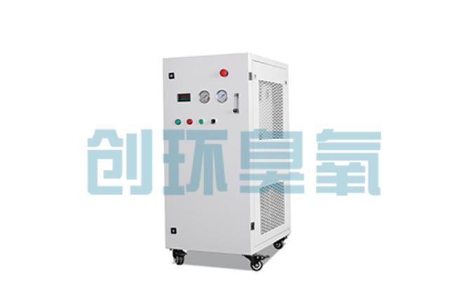 昌吉比传统换水更高效?臭氧发生器在石斑鱼养殖中的水质净化原理解析